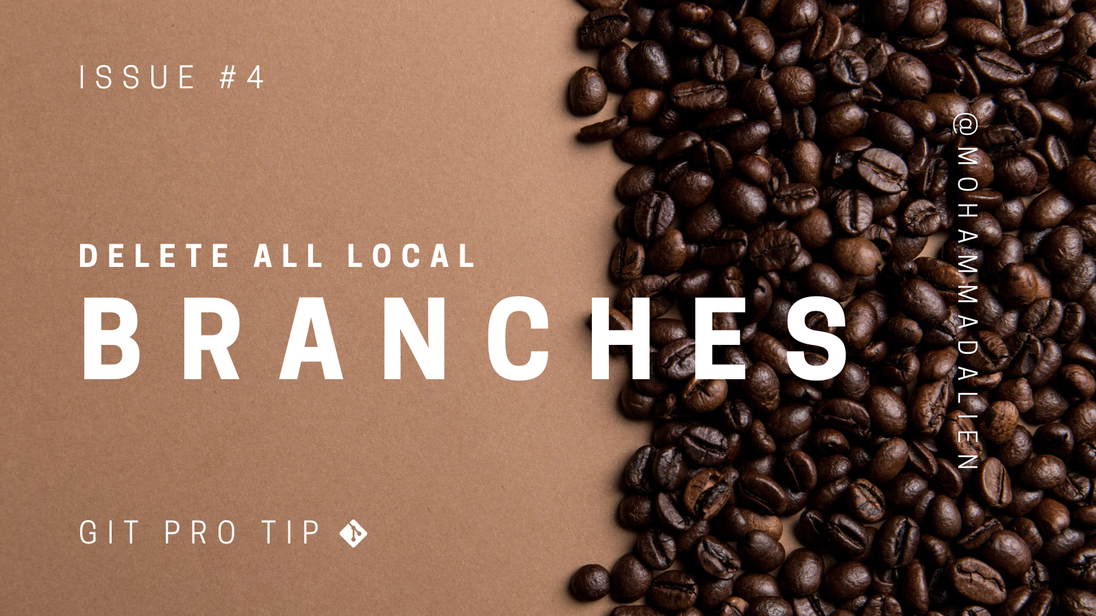 Delete Local Branches in Bulk